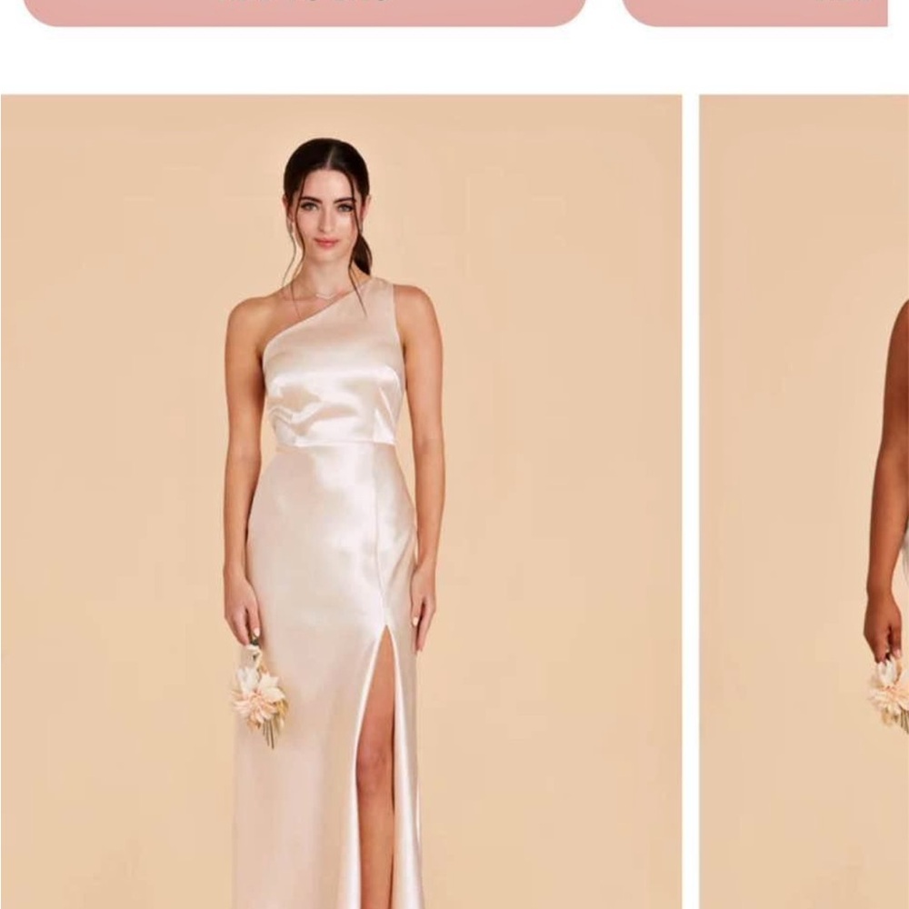 Birdy Grey champagne Kira dress